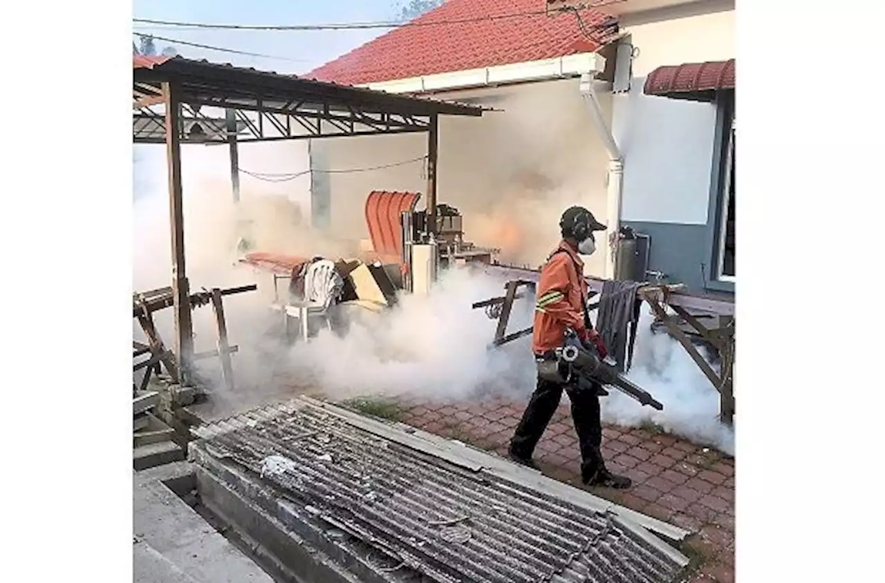 Dengue cases in Klang soar to more than 6,000 this year