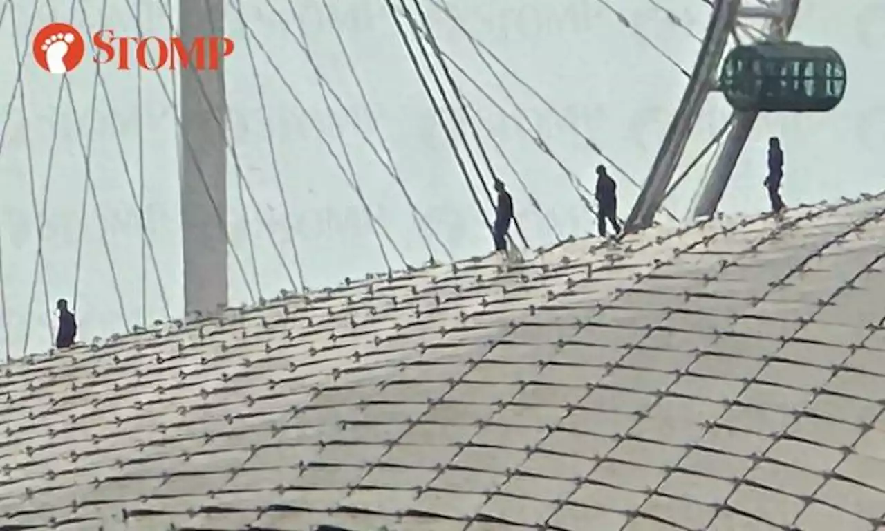 Stomper concerned for workers on Esplanade roof, their safety harnesses can't be seen from distance