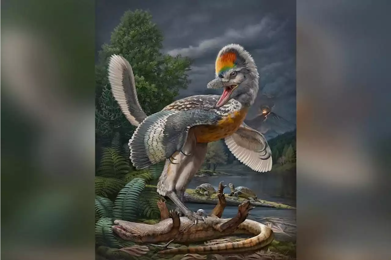 Fujianvenator: 'Bizarre' long-legged bird-like dinosaur in China has scientists enthralled