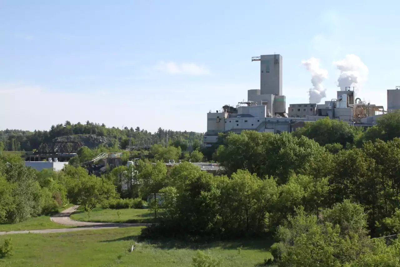 Domtar decision to shut down Espanola mill took Unifor rep by surprise