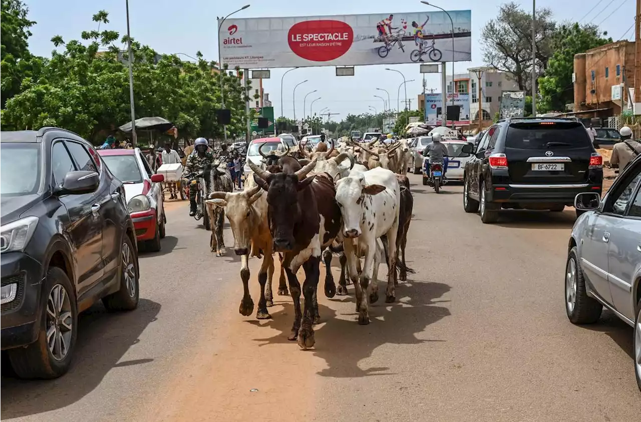 Niger : les États-Unis « repositionnent » leurs troupes plus au nord