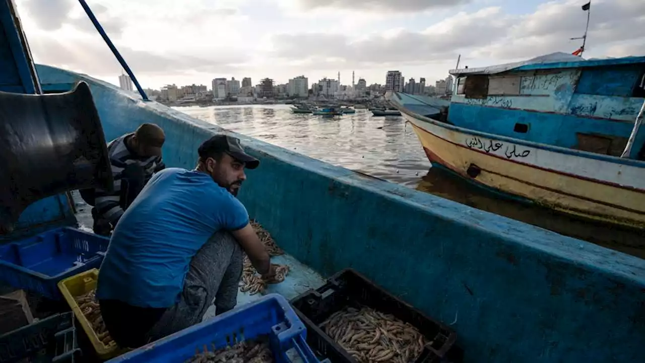 'Collective punishment': Palestinians decry Israeli ban on Gaza's exports