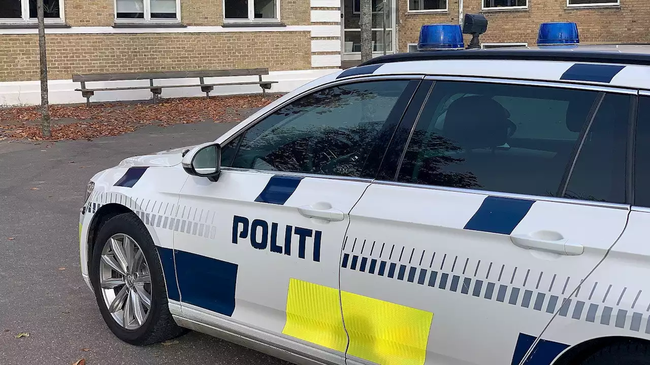 Stjal varebil, mens ejer sov - nu leder politiet efter Dacia Dokker