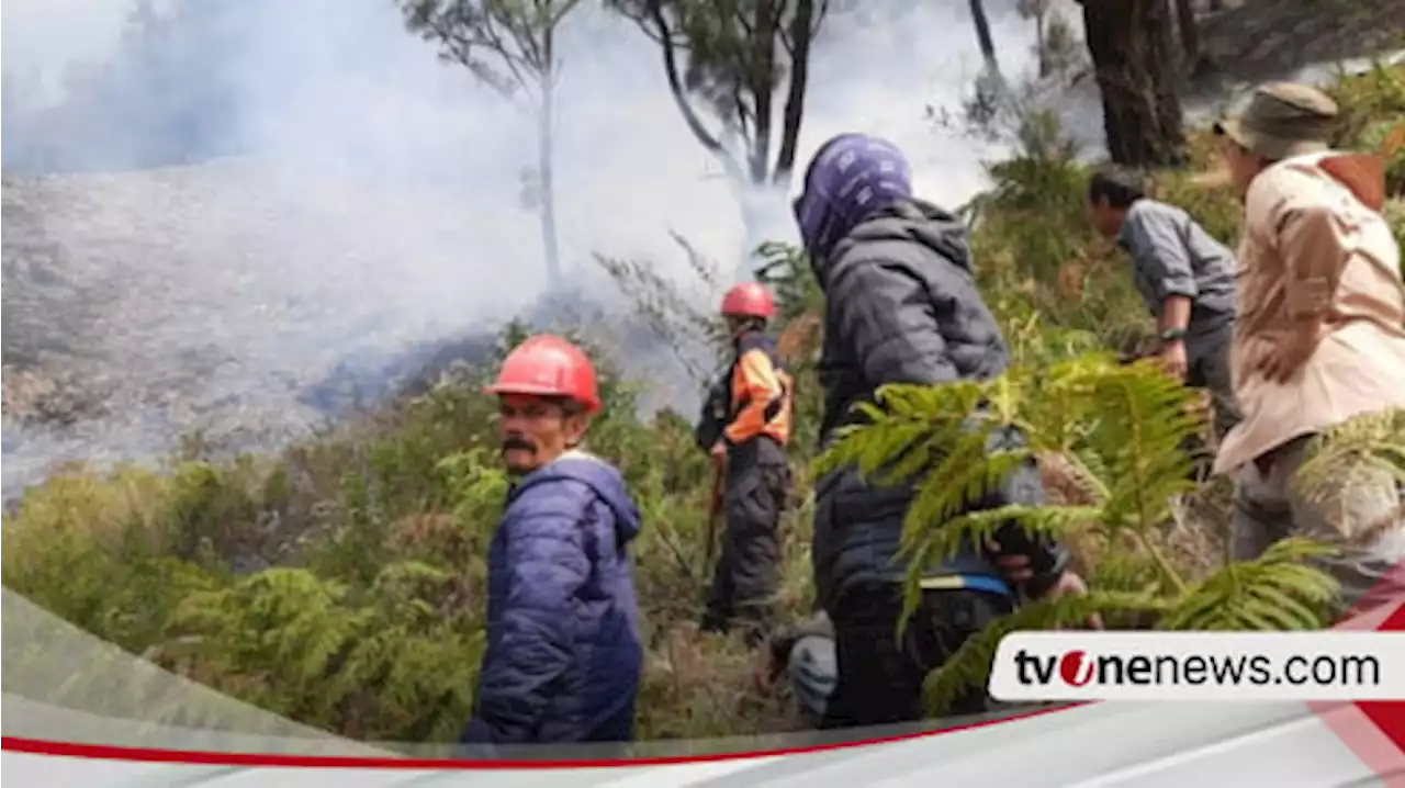 Kebakaran Lahan di Jambi Makin Parah, Gubernur Imbau Warga Tak Beraktivitas di Luar Rumah