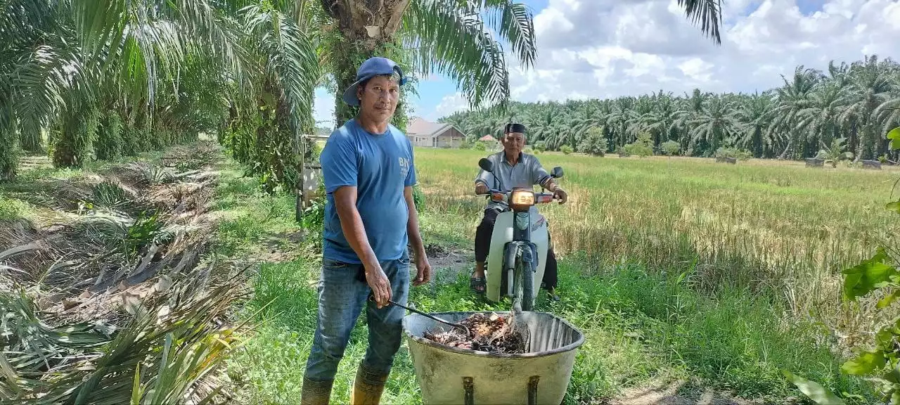 Hanya 16% tanah untuk pengeluaran makanan