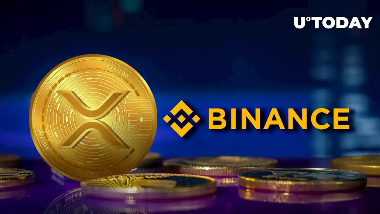 Binance's XRP Balance Showcased in Latest PoR Report, Is There Cause for Concern?