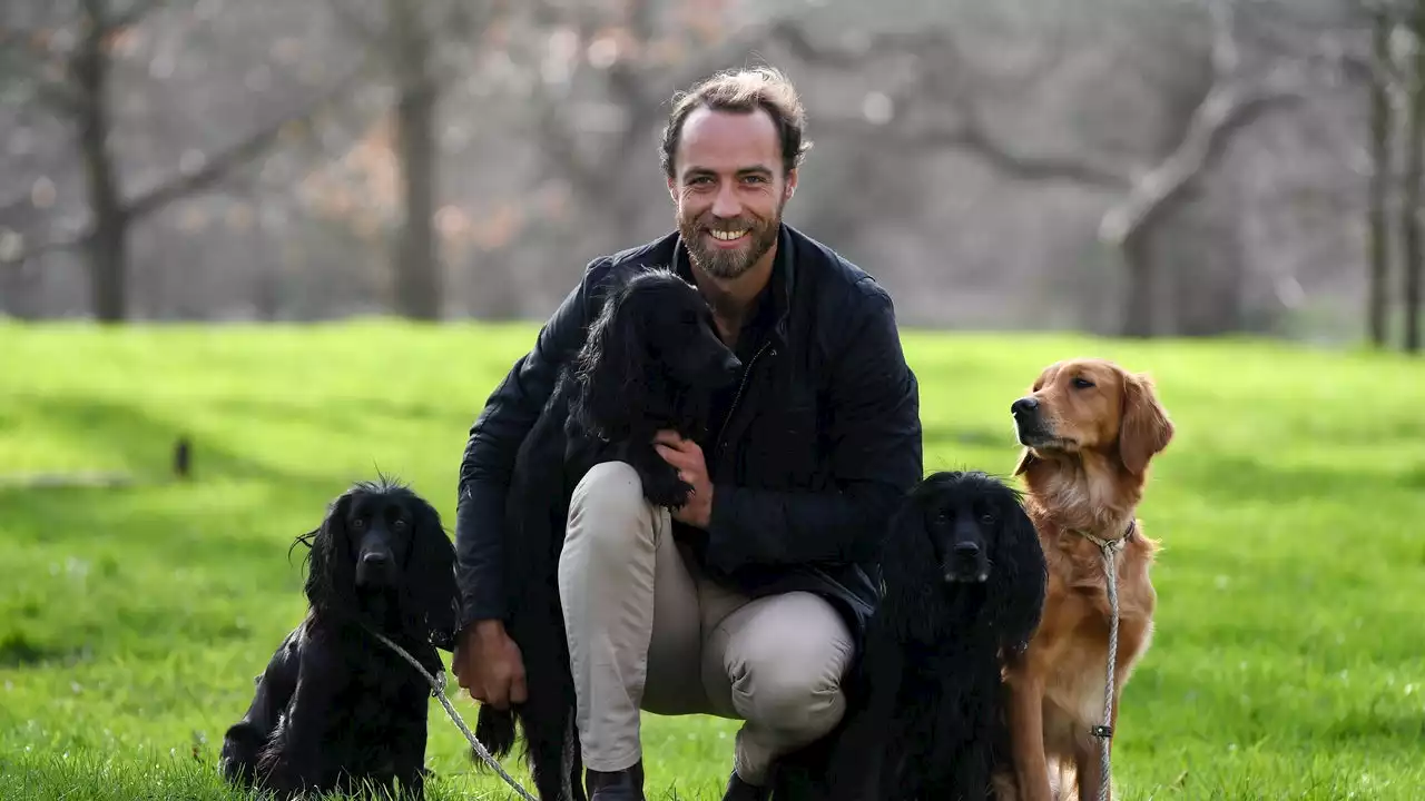 James Middleton y Alizée Thevenet se preparan para la llegada de su bebé con un paseo en barco (acompañados por sus cinco hijos perrunos)