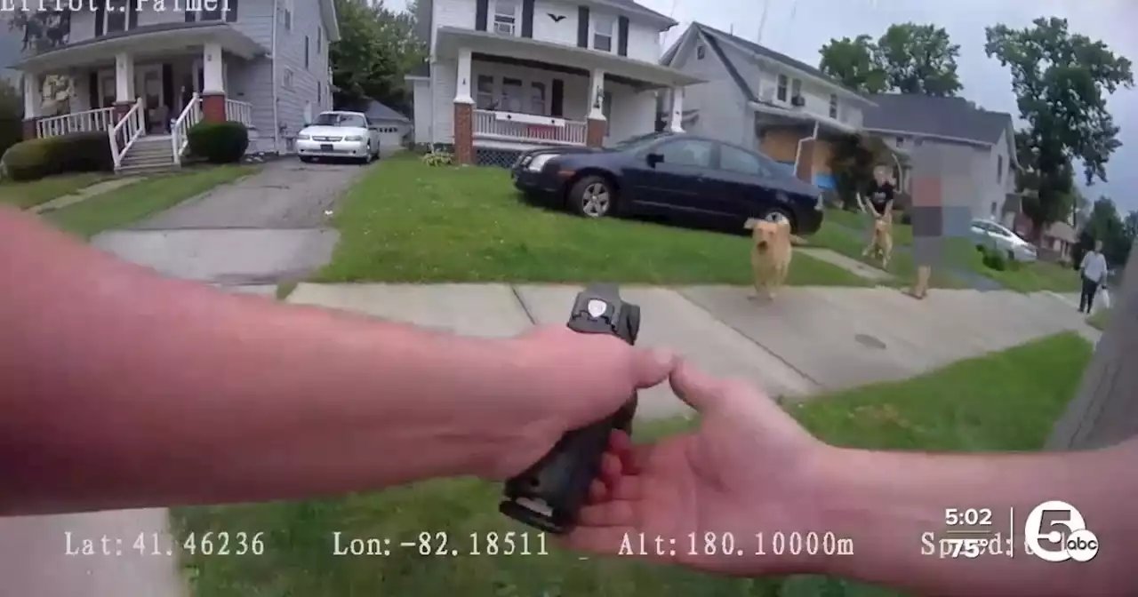 Lorain Police finds officer was 'objectively reasonable' in fatal shooting of dog