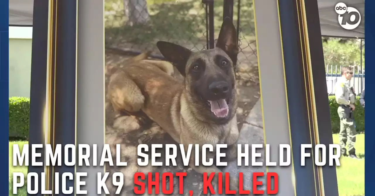 SDPD holds memorial for police dog killed in line of duty