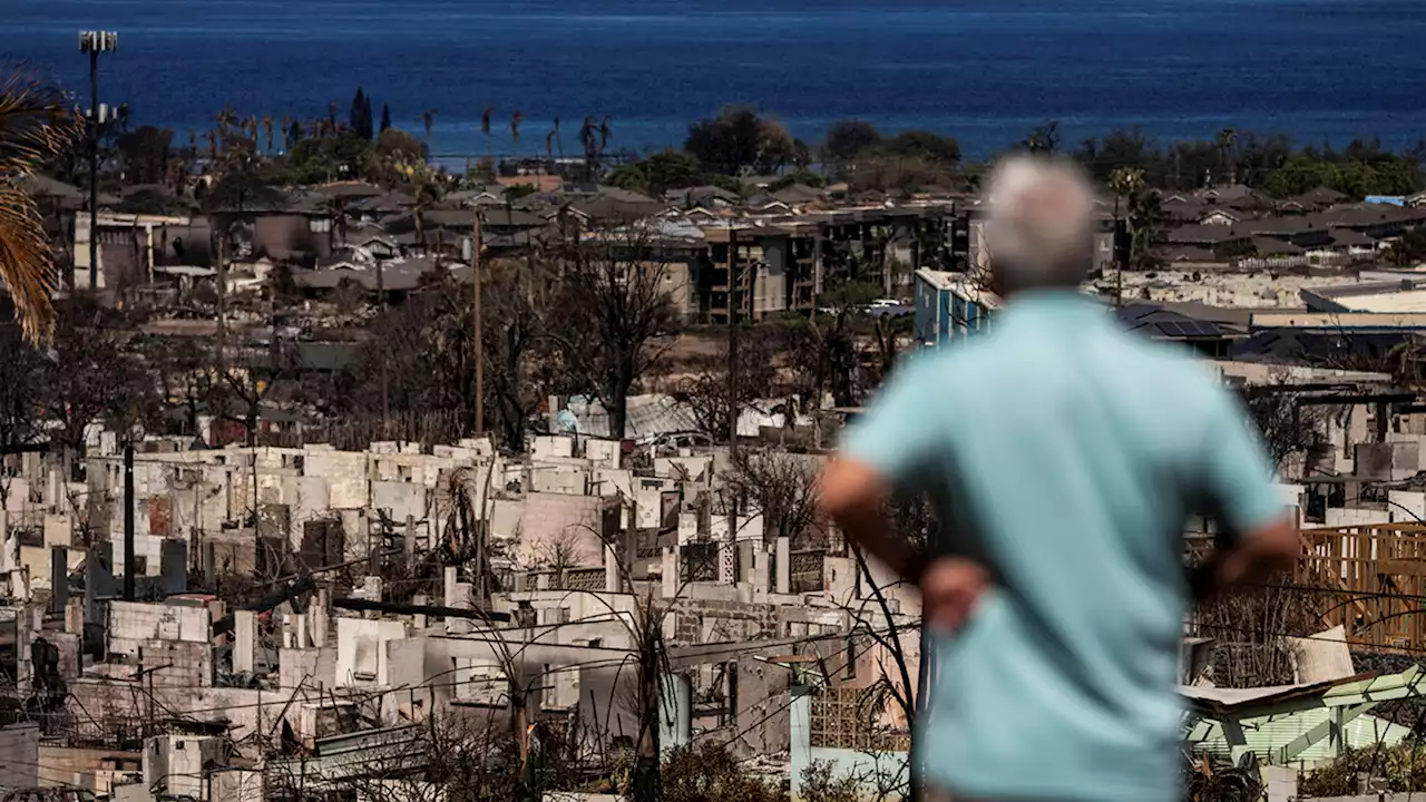 Maui slowly edges toward rebuilding 1 month after the deadly wildfires