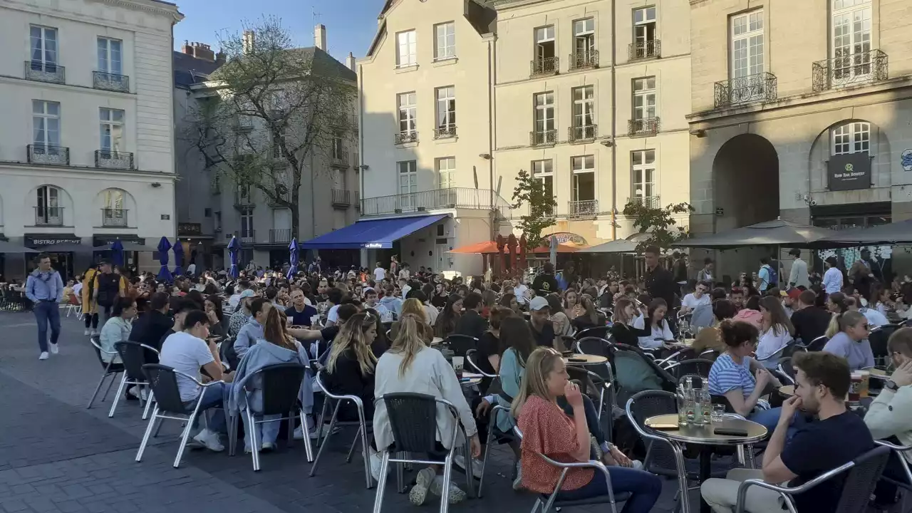 Coupe du monde de rugby 2023 : à Nantes, les 10 bars où voir France-Nouvelle-Zélande