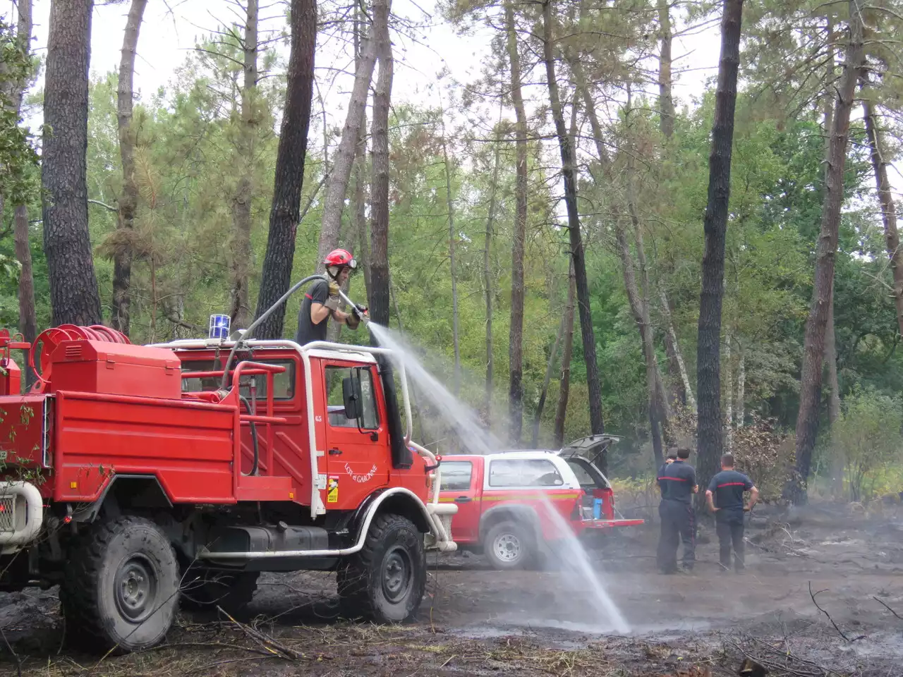 Incendie en Lot-et-Garonne : un feu ravage sept hectares de végétation à Castillonnès