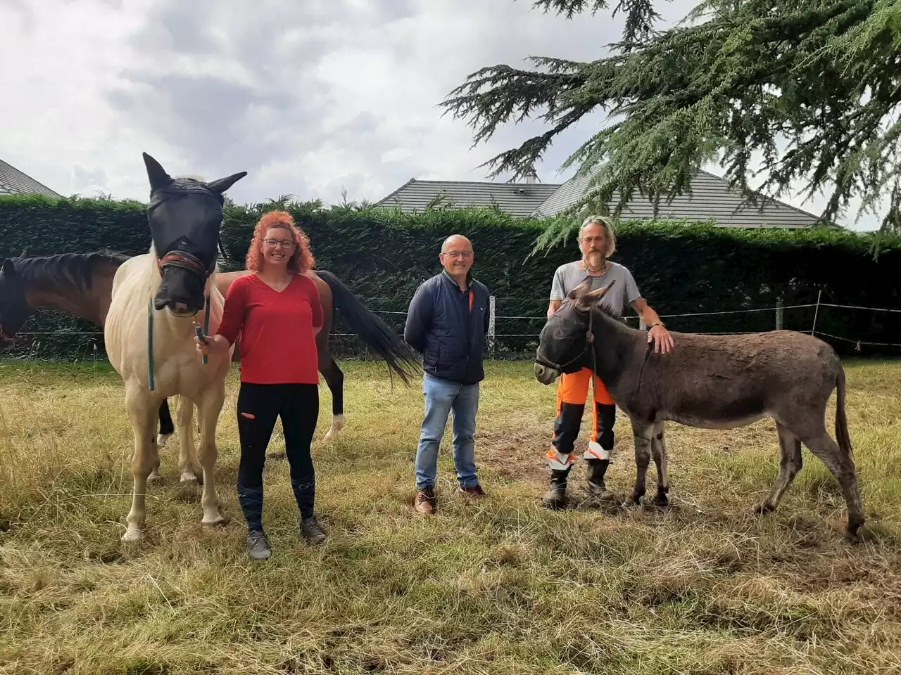 Saint-Pierre-des-Fleurs : deux chevaux et une ânesse pour entretenir des terrains communaux