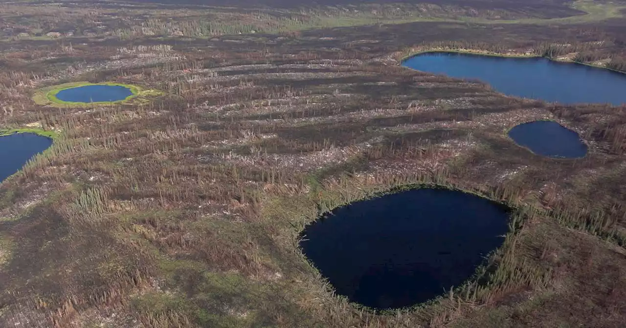 Alaska firefighters experiment with fighting remote blazes to prevent permafrost melt