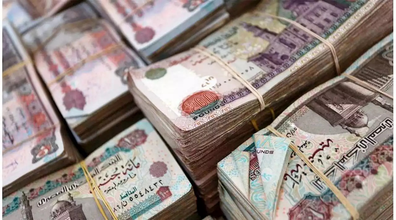 «مستريح» يسرق 50 مليوناً من المصريين