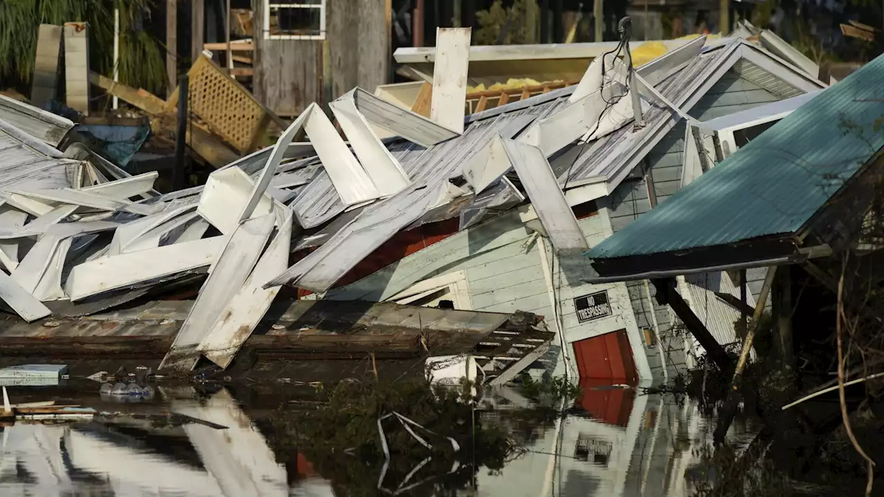 Man struck by tree while cleaning hurricane debris is third Florida death from Hurricane Idalia