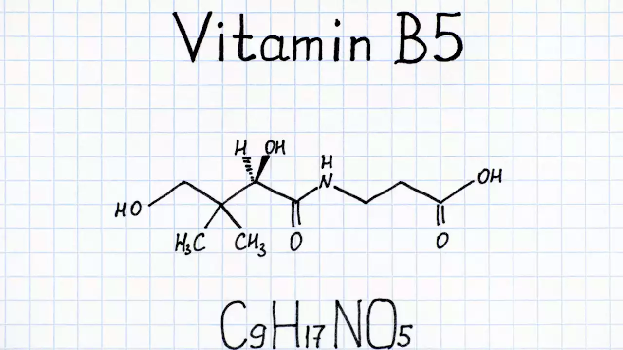 Warum Vitamin B5 so wichtig für uns ist: Wirkung und Mangel-Symptome