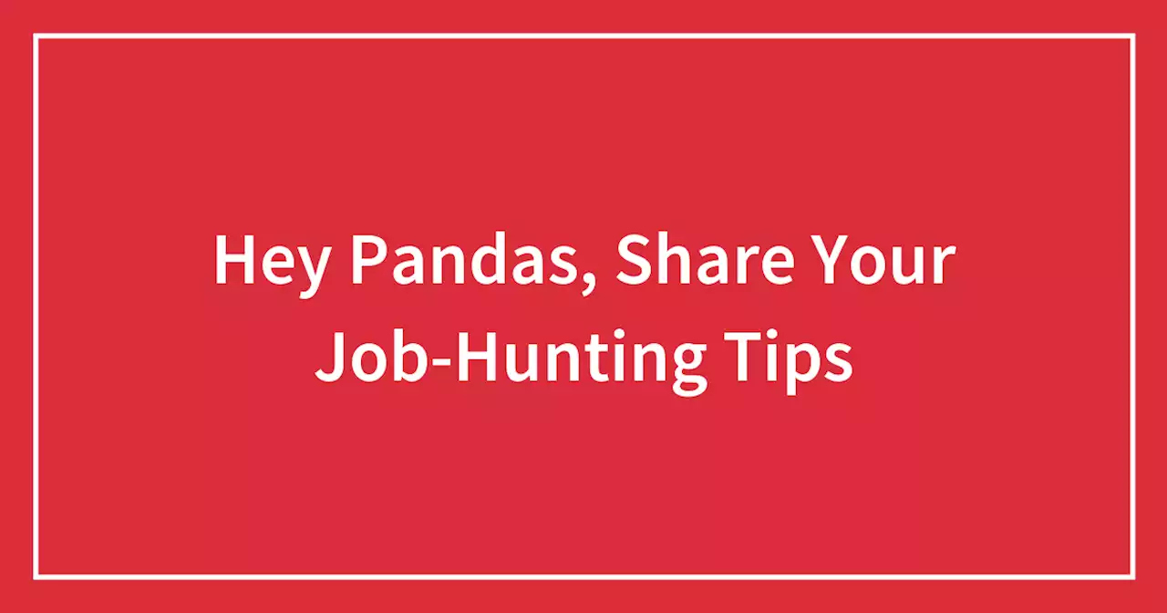 Hey Pandas, Share Your Job-Hunting Tips