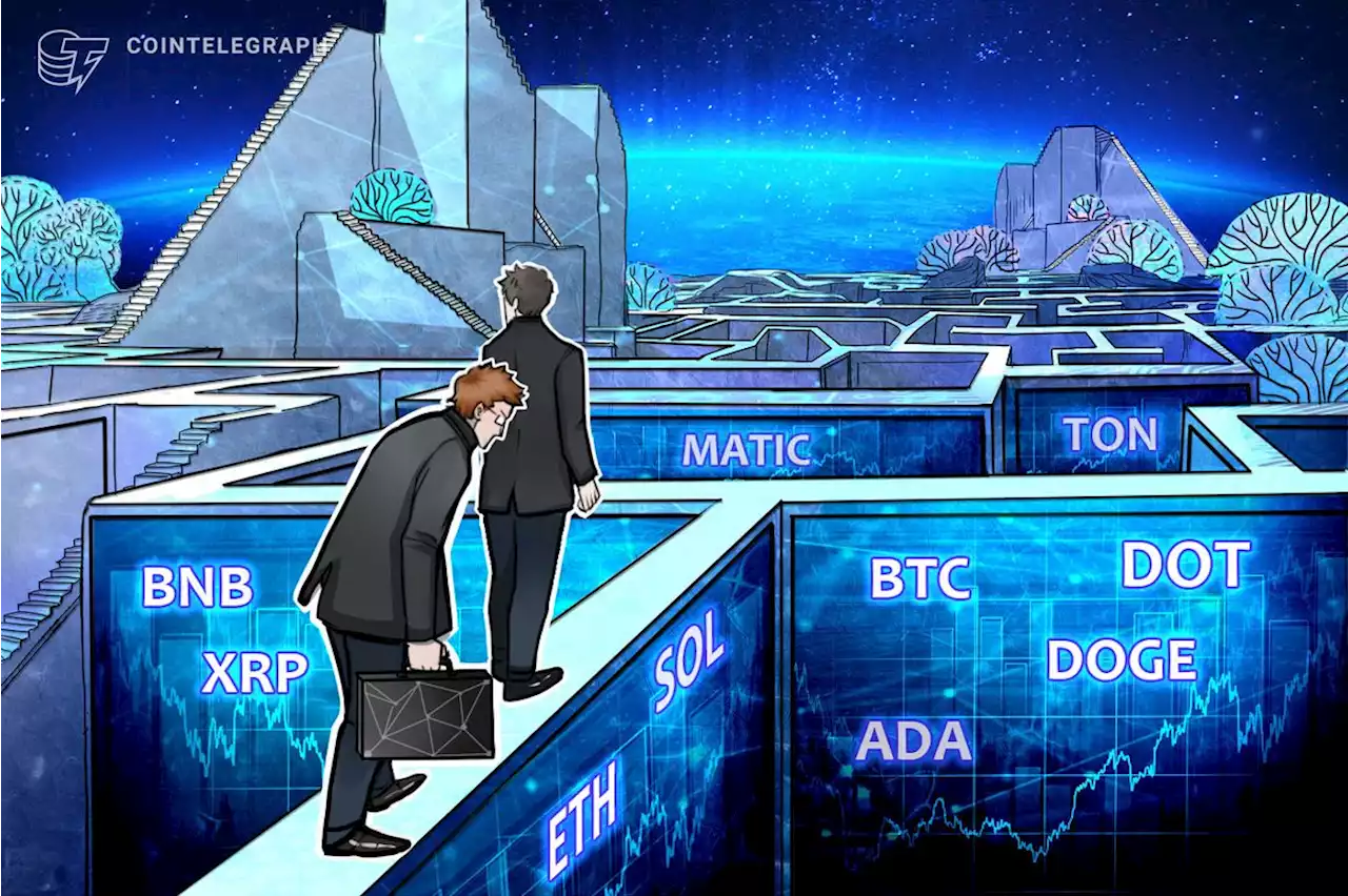 Price analysis 9/8: BTC, ETH, BNB, XRP, ADA, DOGE, SOL, TON, DOT, MATIC