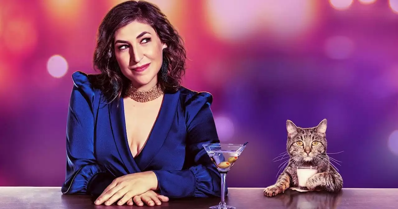 Call Me Kat Season 4 Release Date Rumors: Is It Coming Out?