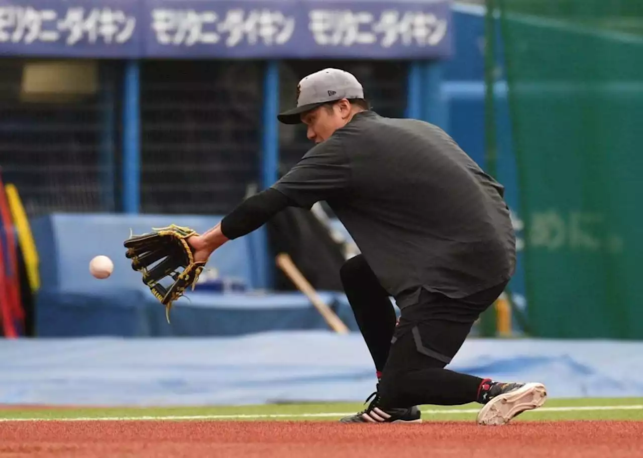 【野球】巨人・坂本勇人は第２の宮本慎也氏、鳥谷敬氏となれる 三塁コンバートで通算３０００本安打へ再加速か/デイリースポーツ online