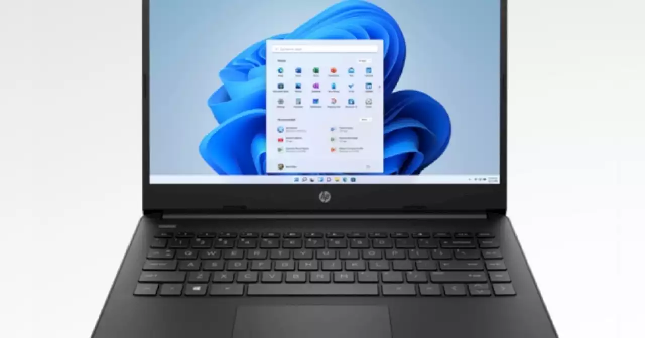 HP is practically giving away this student laptop