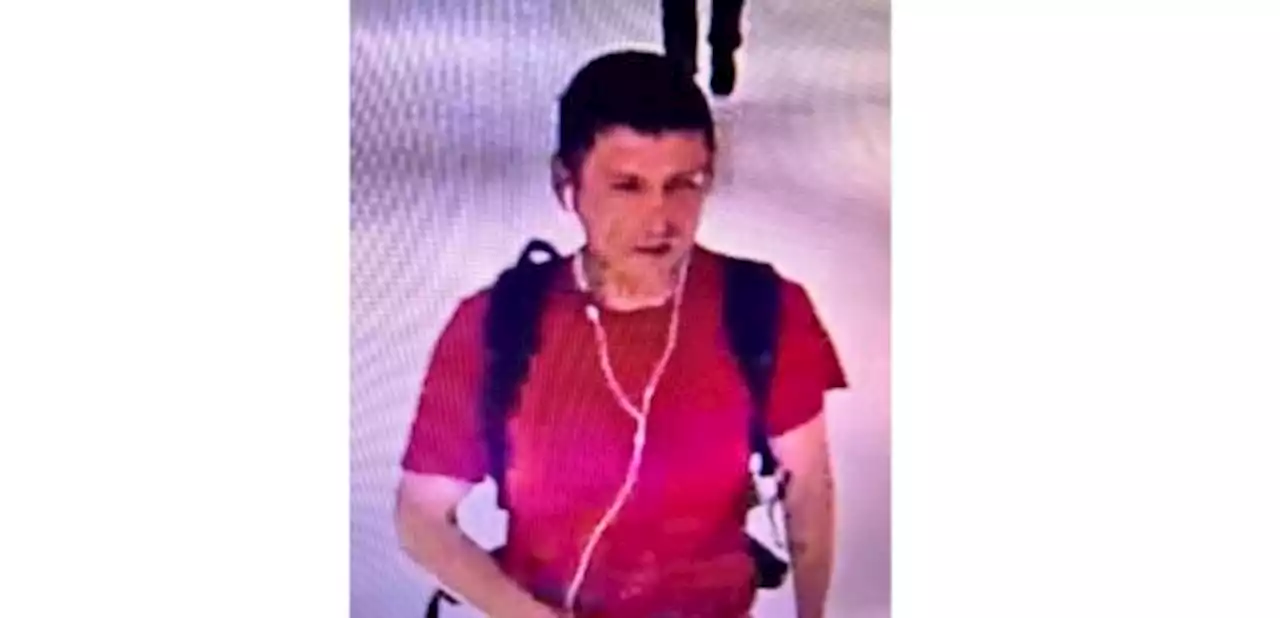 Toronto police looking for man spraying strangers with ink