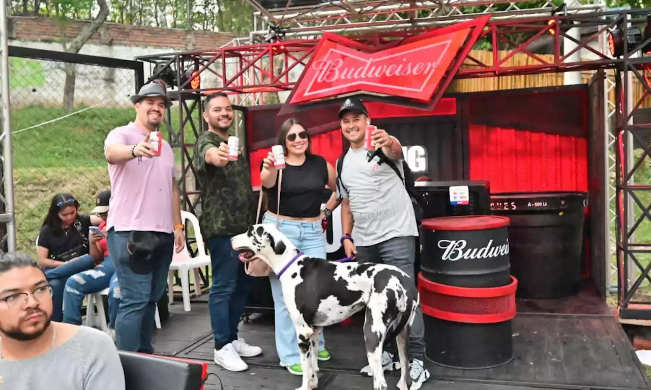 La cerveza que crearon para perros para la 'pola fest' que se hará en Bucaramanga