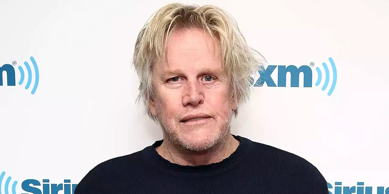 Gary Busey admits to hit-and-run accident, won't face charges