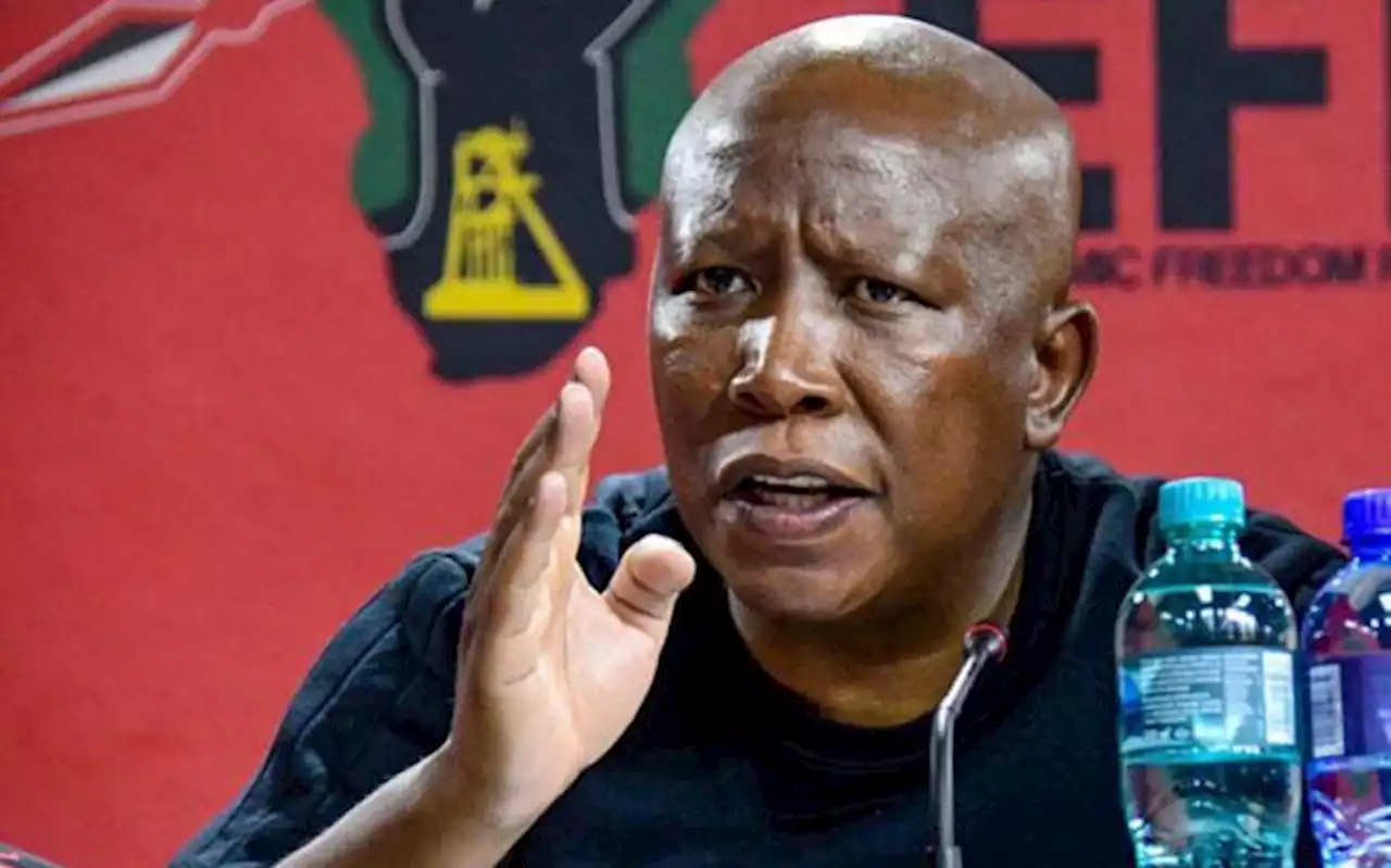 'We owe them nothing, 30 years is enough,' says Malema on ANC