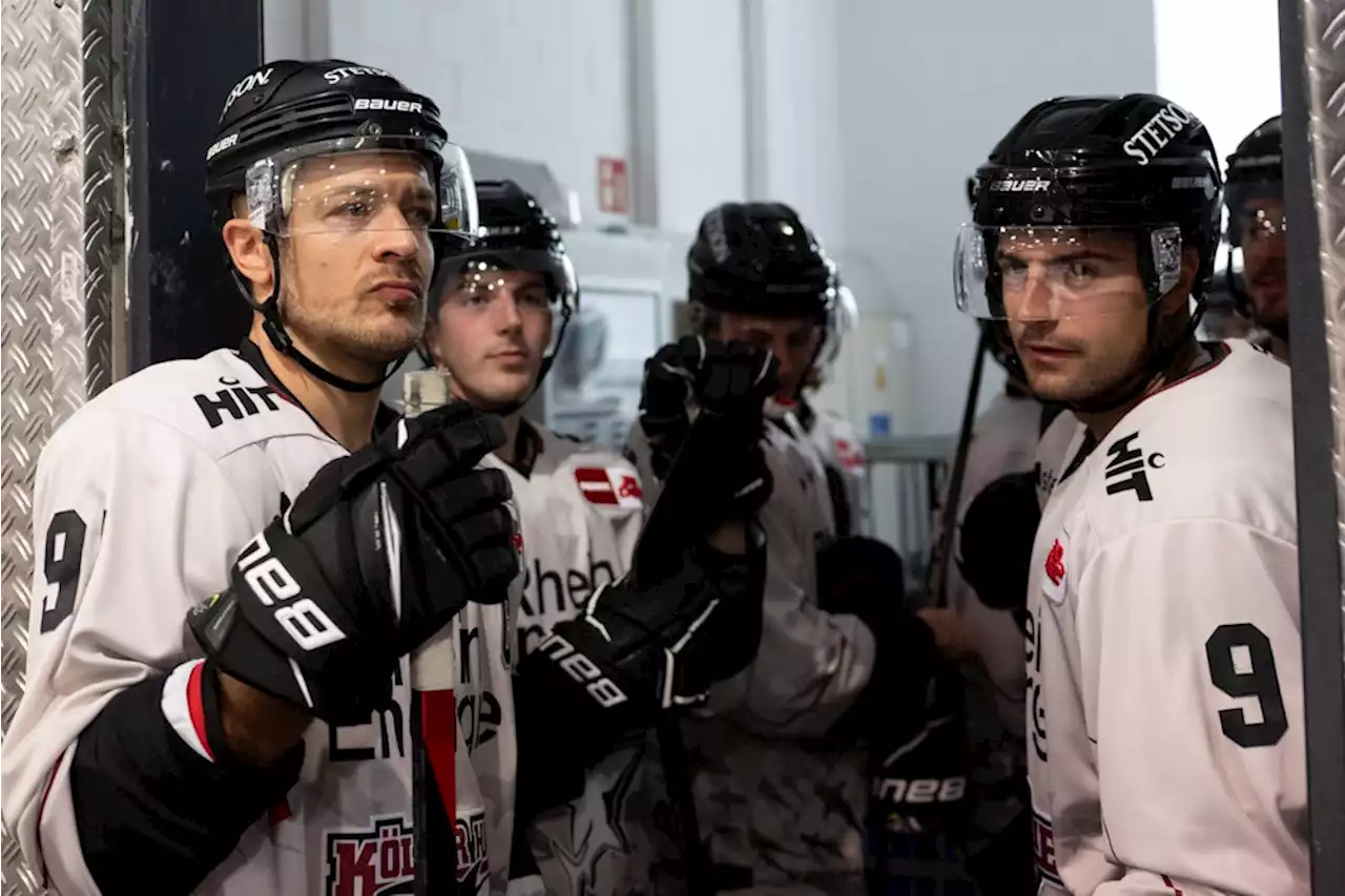 Ungeahnter Boom: Kölner Haie vor Mega-Saisonstart: Das gab es noch nie