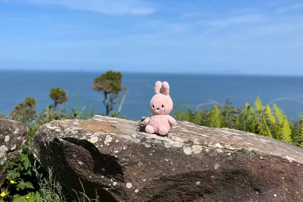 Why I hiked across England with a stuffed rabbit in my pack