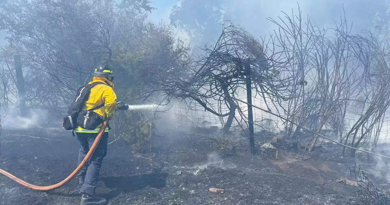 Evacuation order issued for 3-alarm vegetation fire in Vallejo