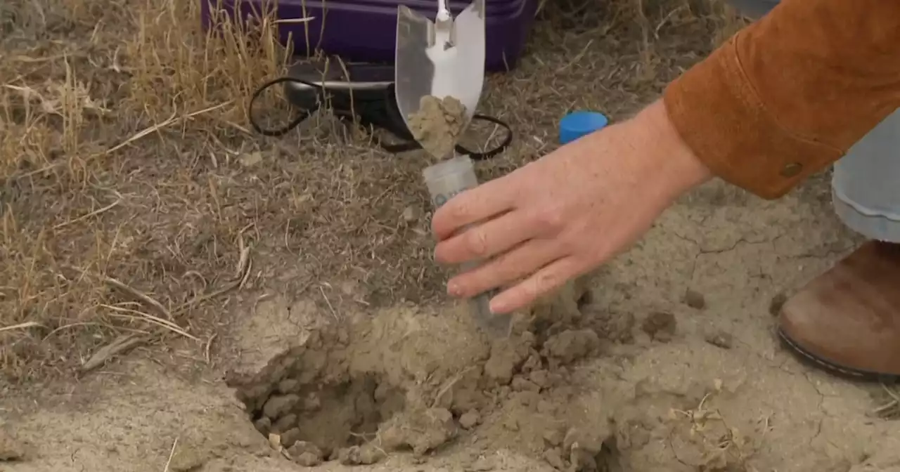 Valley fever fungus spreading in California fueled by climate change