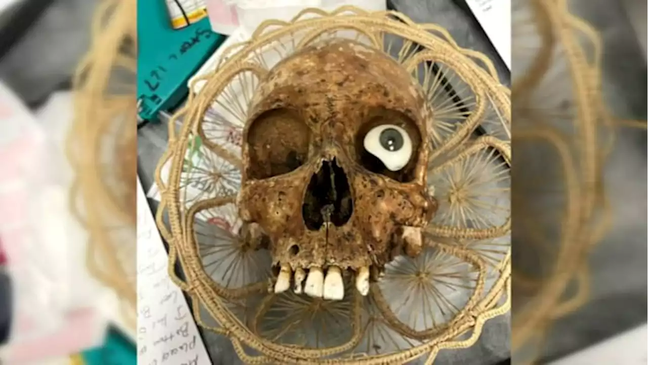 Human skull found in Goodwill donation box in Arizona