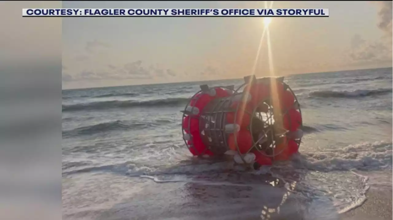 Florida man trying to cross the Atlantic in human-sized hamster wheel criminally charged