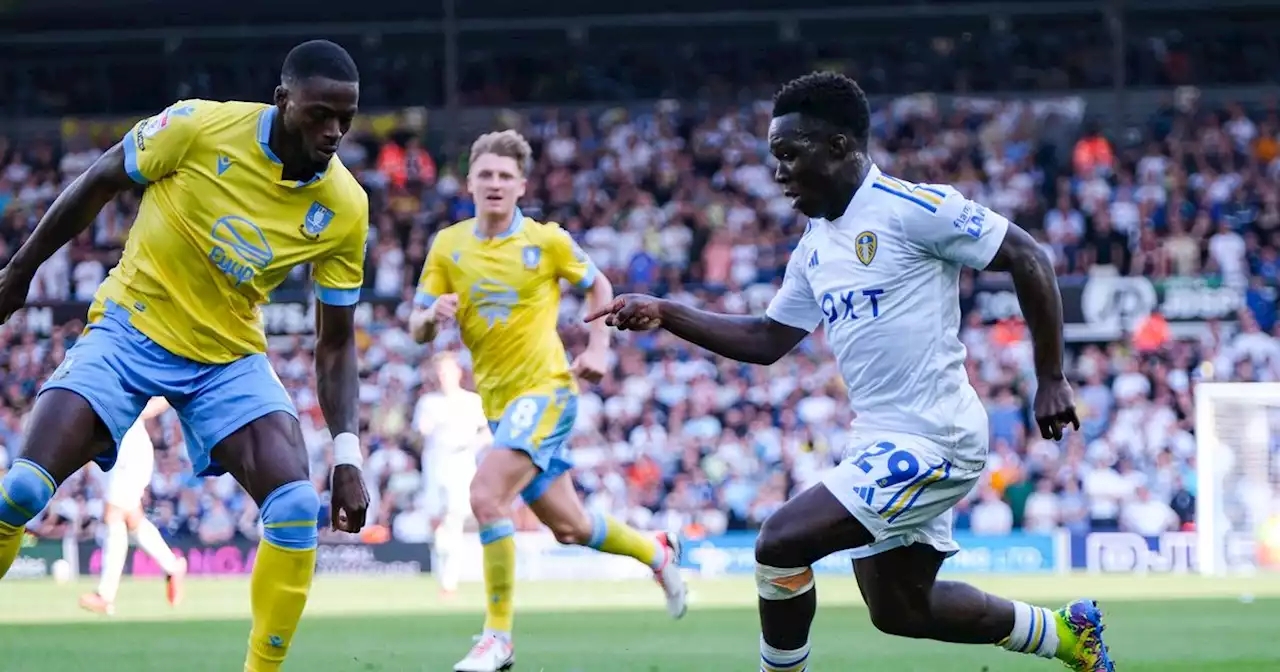 Leeds United player ratings for season so far as Wilfried Gnonto shines