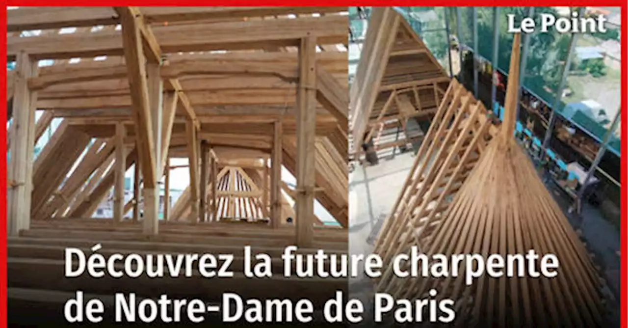 Découvrez la future charpente de Notre-Dame de Paris reproduite à l'identique