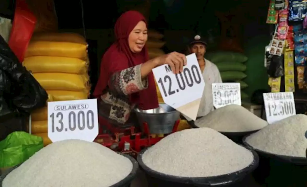 Harga Beras di Palu Tinggi karena Stok Minim