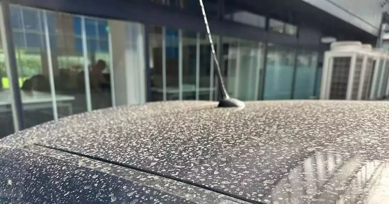 How keep your car clean as Sahara dust sweeps across UK