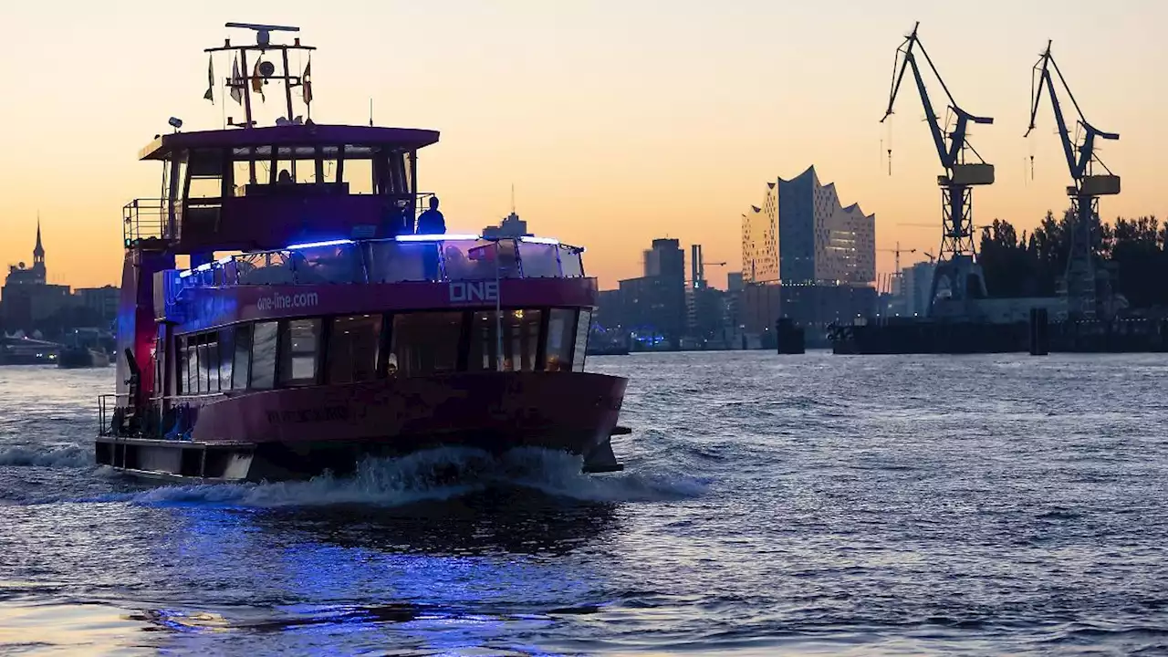 Linke: Hamburg rollt Kreuzfahrtbranche roten Teppich aus