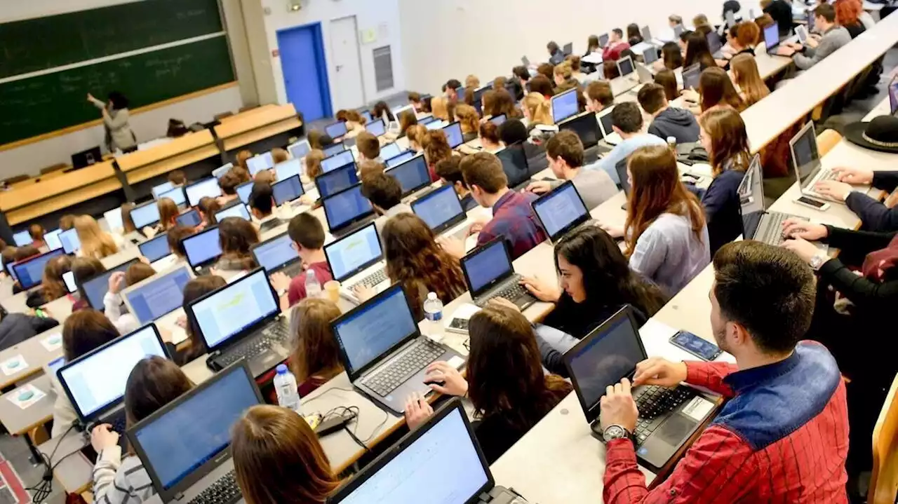 Master : une nouvelle session de candidature ouverte à l’université du Mans