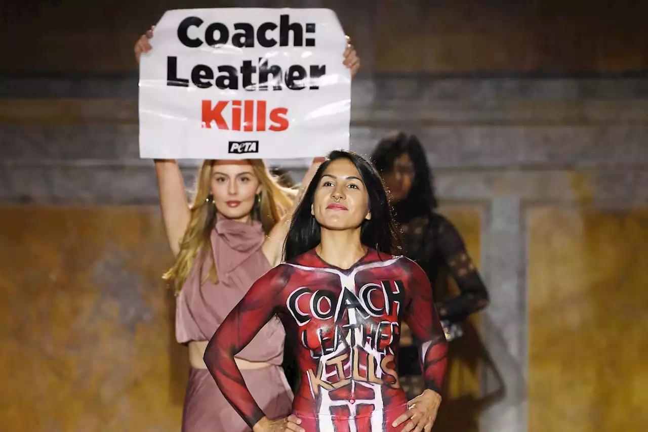 Protestors Crash Coach Runway at New York Fashion Week: 'Coach Leather Kills'