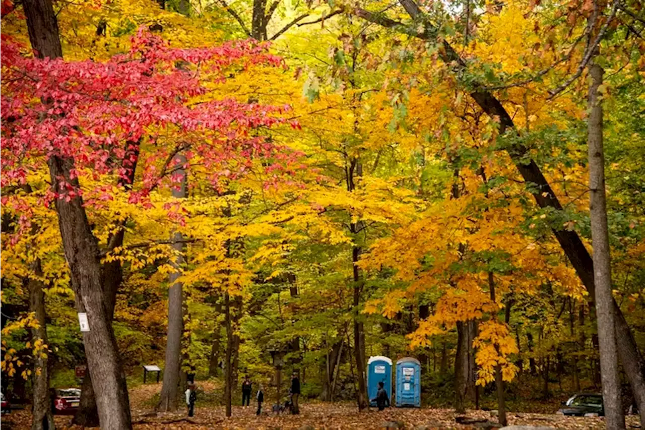 The fall foliage show’s intensity may be all about the next few weeks of weather