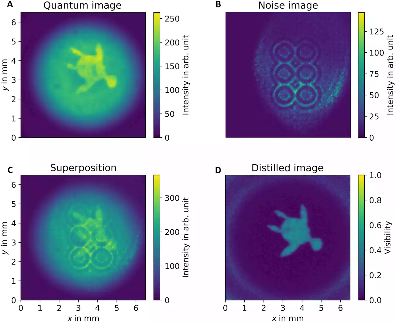 Experimental quantum imaging distillation with undetected light