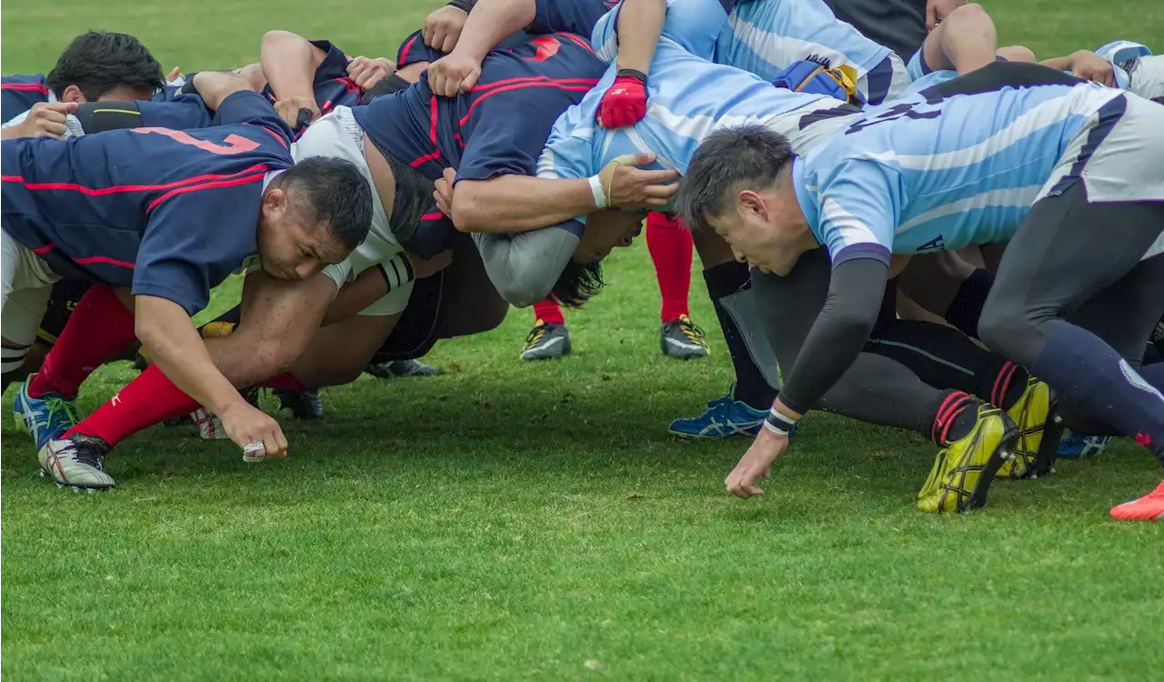 'Future of Rugby' report uncovers rugby's social impact around the world