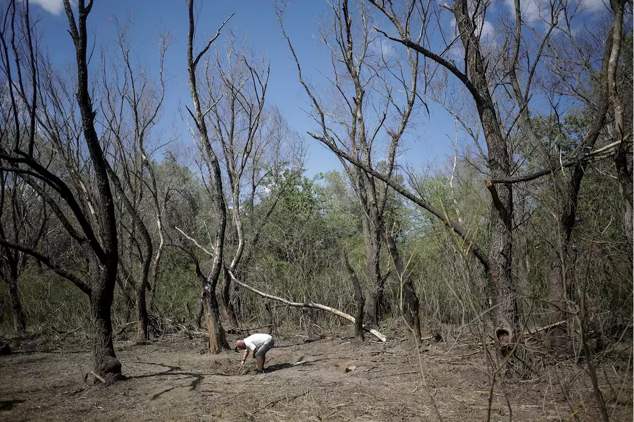 Blinken, Romanian minister discuss drone debris found in Romania near Ukraine border