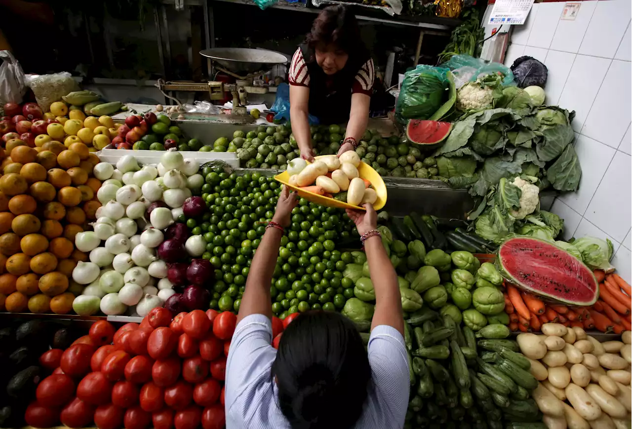 Exclusive-Mexico budget sees lower growth, slower inflation in 2024 -draft