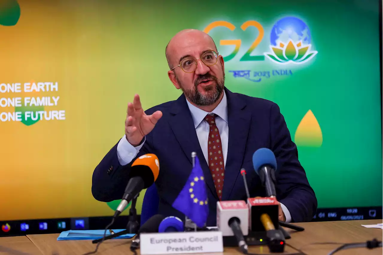 Leaders' consensus at G20 summit is difficult to predict -EU's Michel