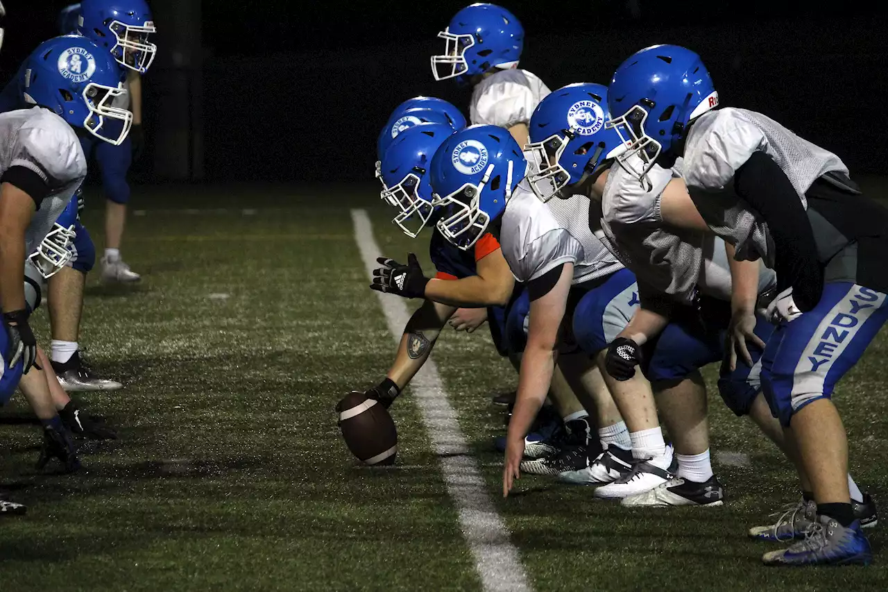 Sydney Academy Wildcats clawing for first division football title after 2022 loss